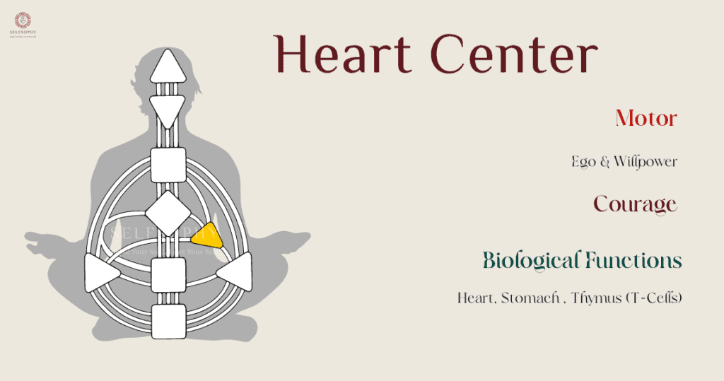 วิธีอ่านค่า Human Design - Heart Center