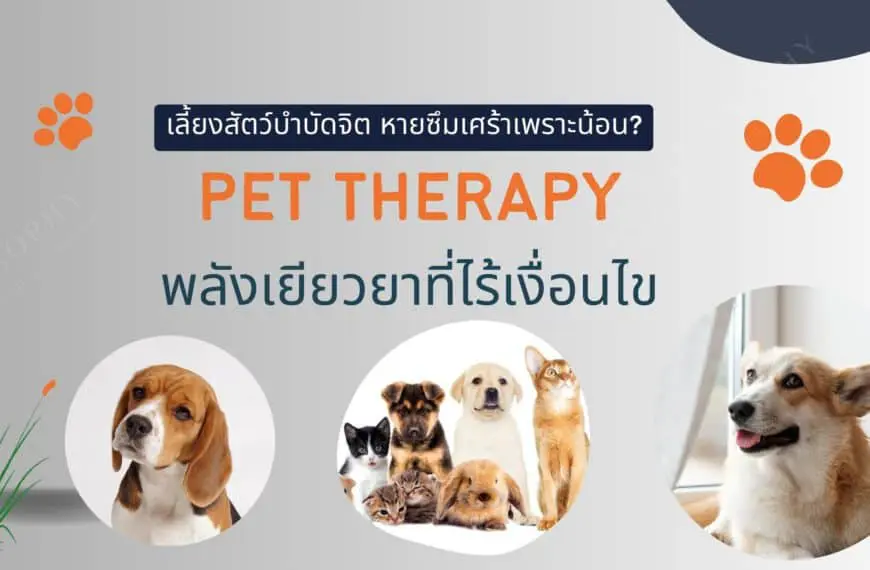pet therapy
